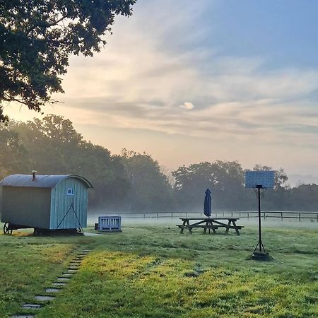 Skylark Shepherds Hut رويال تونبريدج ويل المظهر الخارجي الصورة