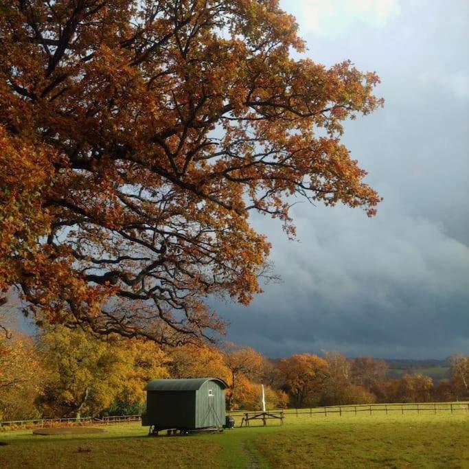 Skylark Shepherds Hut رويال تونبريدج ويل المظهر الخارجي الصورة